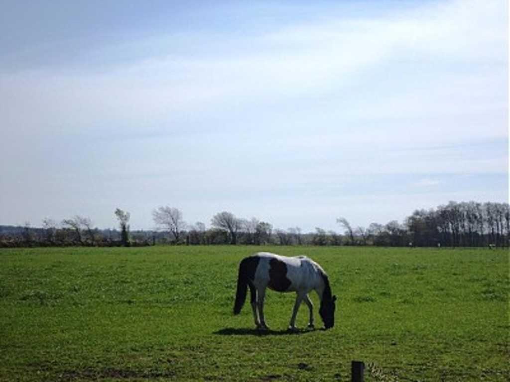Ferienhaeuser In Duhnen - Ringwall Nordstern คุกซ์ฮาเวน ภายนอก รูปภาพ